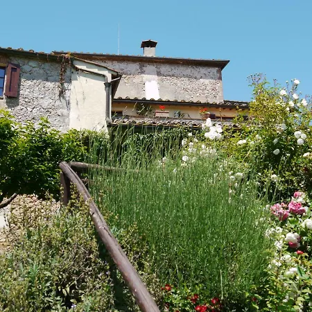 Delle Rose Villa Sienne