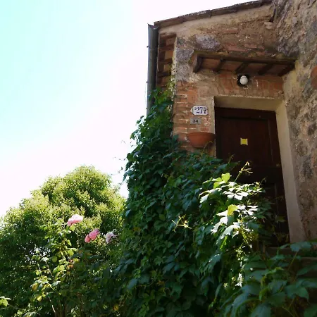Delle Rose Sienne
